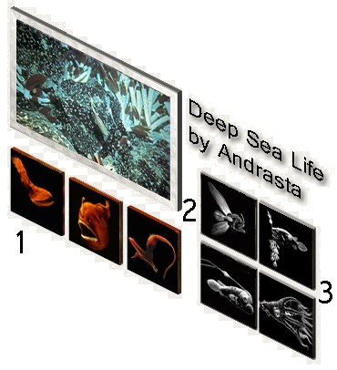 deepsea life