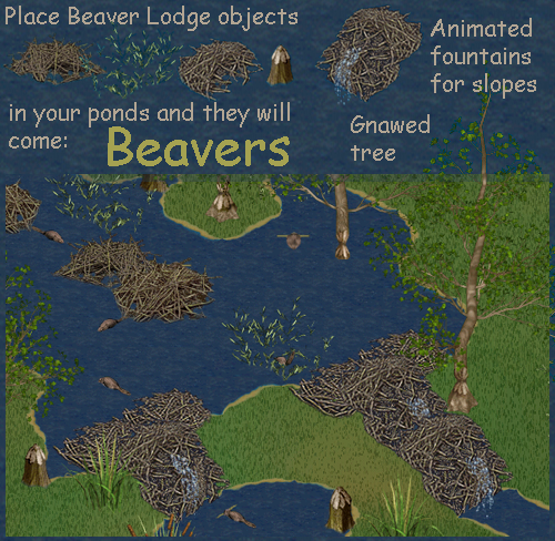 beavers